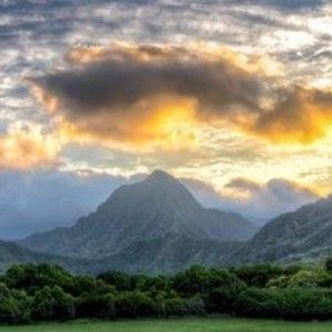 Meet your Posher, Robin